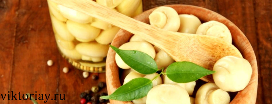 грибы,купить грибы,сушенные грибы,консервированые грибы,салат с грибами,рецепты с грибами,грибы фото,заказывайте гриба,купить онлайн белые грибы,курица с грибами,грибы в духовке,цветы,купить цветы,семена цветов,семена,семя,семю,купить семена,купить семян,семена почтой,арбуз,семена магазин,интернет семена,интернет семян,интернет магазин семян,куплю семена,каталог семена,каталог семян,капуста,перец,сладкий перец,болгарский перец,морковь,семена моркови,полезные свойства моркови
